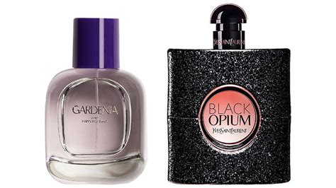 black opium perfume zara dupe|black opium perfume smells like.